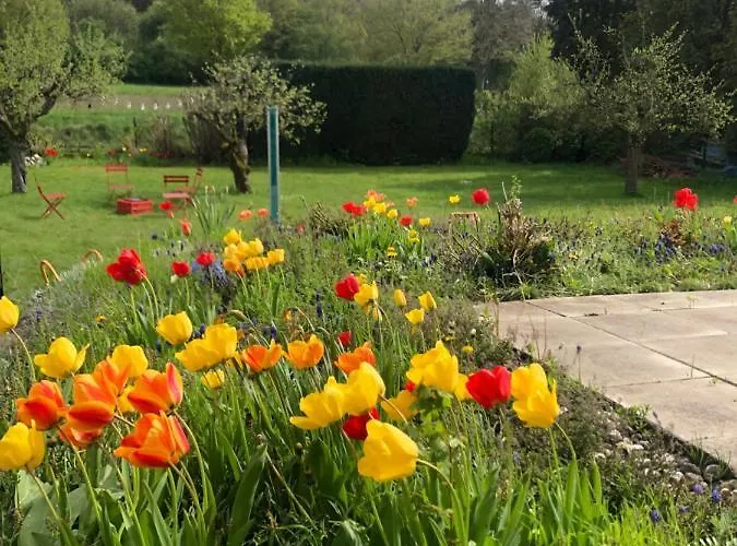 Limburger Mika -whg3zimmer P&wallbox Garten